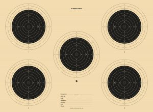 50 Metre Target 510x373