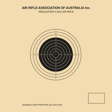 Single Air Rifle Target 100x100