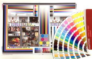 Colour chart and swatches