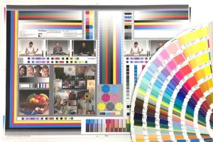 Colour Chart and Swatches