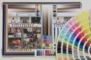 Colour Sample Chart and Pantone Swatches