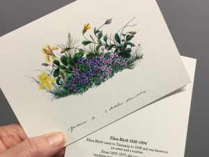Eliza Blyth greeting cards for florists everywhere