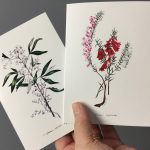 Eliza Blyth greeting cards for florists everywhere