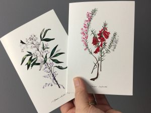 Eliza Blyth greeting cards for florists everywhere