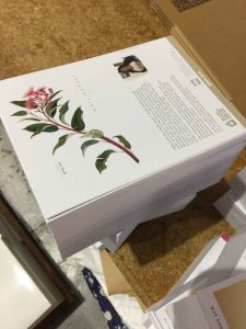 Greeting Cards proudly printed in Liverpool Sydney