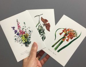 Eliza Blyth Florist Greeting Cards in Liverpool NSW