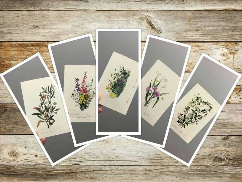 Greeting cards available from Gowans & Son Chipping Norton. Floral designs by colonial artist Eliza Blyth.