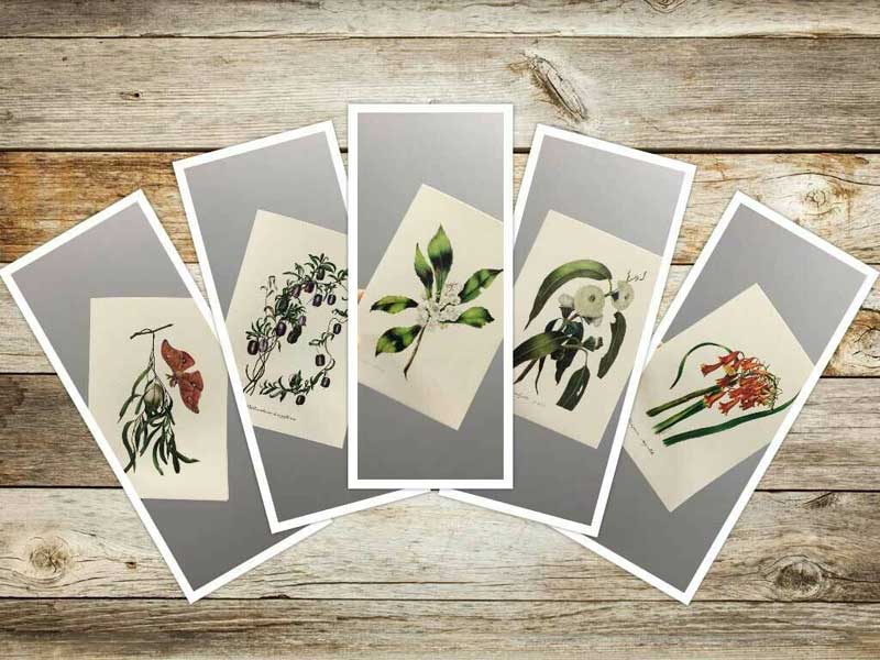 Greeting cards available from Gowans & Son Chipping Norton. Floral designs by colonial artist Eliza Blyth.