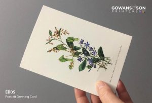 EB05: 3 botanical specimens by Eliza Blyth (1820-1894)