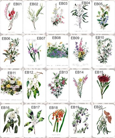 Florals 1 to 20 by Eliza Blyth