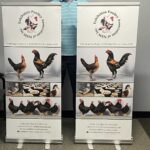 Pull Up Banners in Chipping Norton Sydney